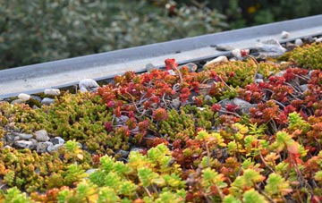 the cost of Strathan Skerray green roof installation