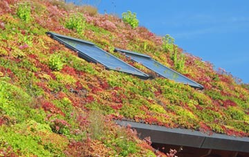 Strathan Skerray living roof systems