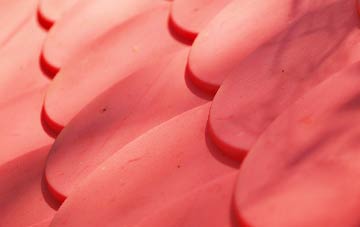 Strathan Skerray plastic roof costs