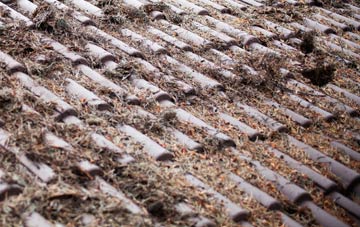 Strathan Skerray roof cleaning companies