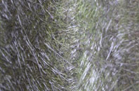 Strathan Skerray fibreglass roof work